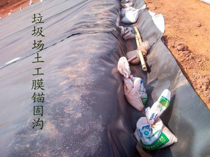 1696208148946862.jpg conew_timg (10).jpg