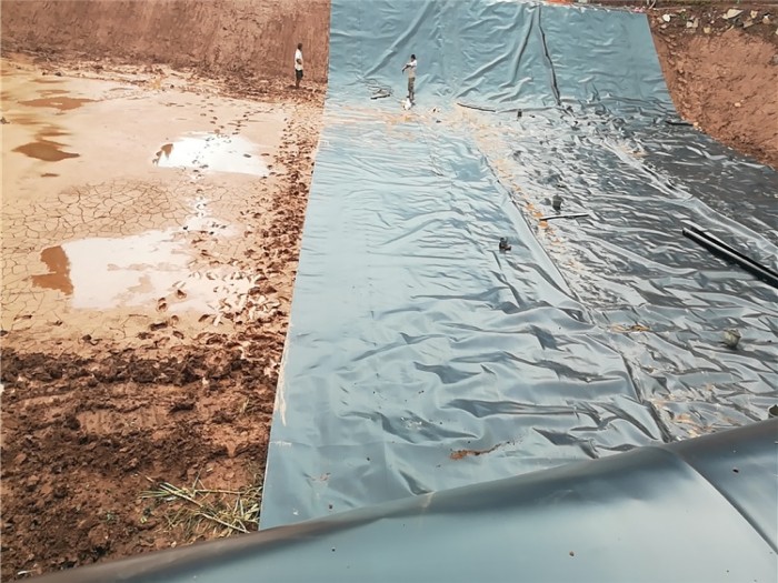 1696208171708214.jpg conew_191109154844175.jpg