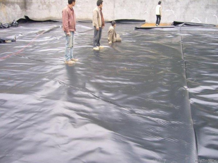 1696208190531716.jpg conew_174905244370.jpg