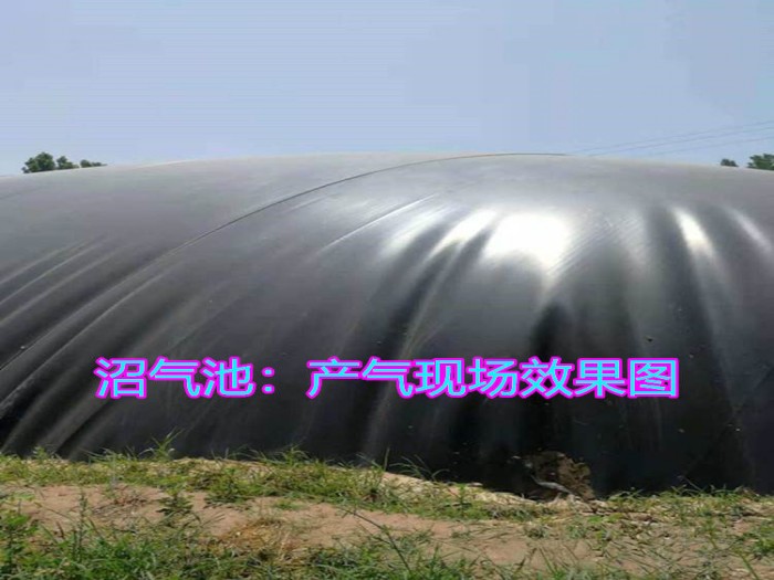 1698710756655334.jpg conew_377fff41-4ead-4f1b-a9e3-03b636f5e116.jpg