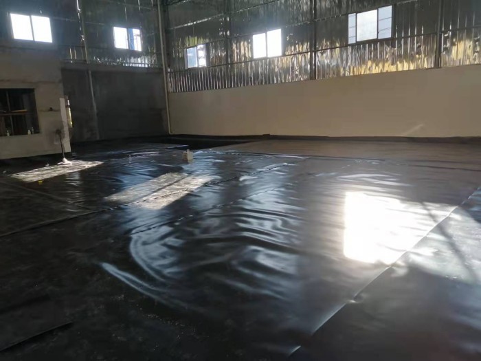 1704413455240159.jpg conew_2021090709290232232.jpg